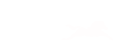 Manan TVS